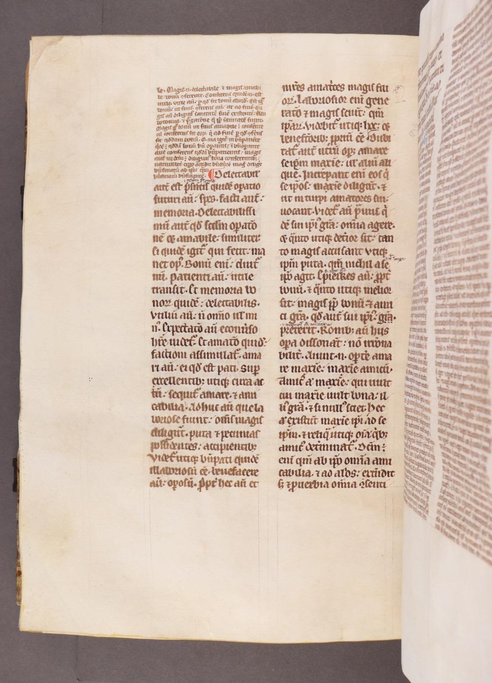 Folio 202 verso